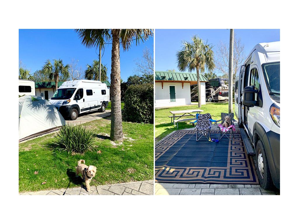 Solis parked in campsite behind tent