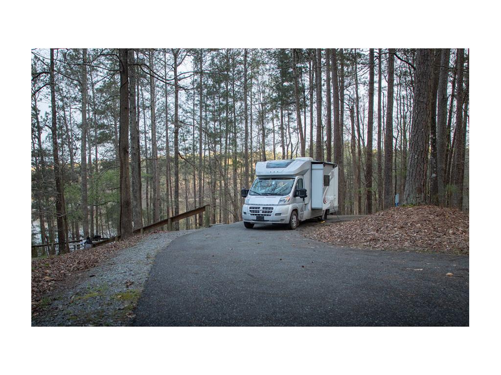 Trend parked in park with trees in background