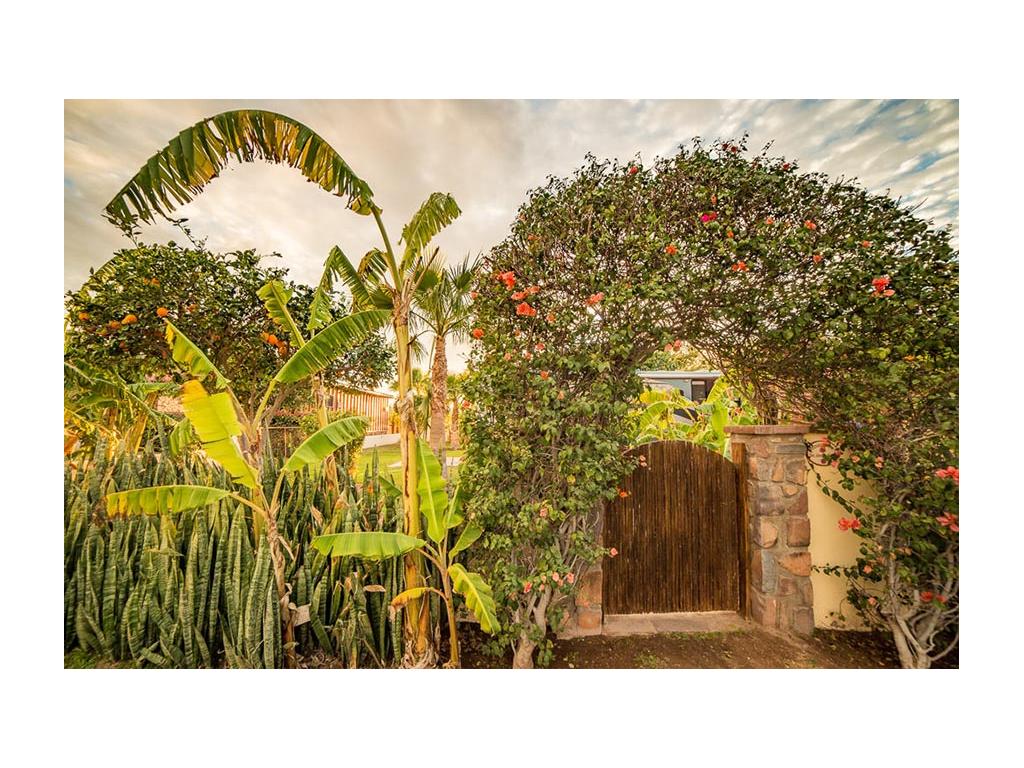 Wooden gate surrounded by beautiful landscaping
