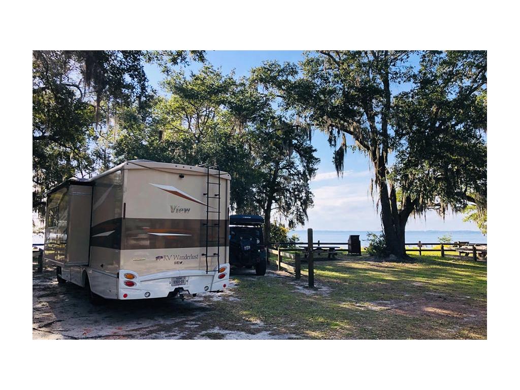 View sitting under three large trees