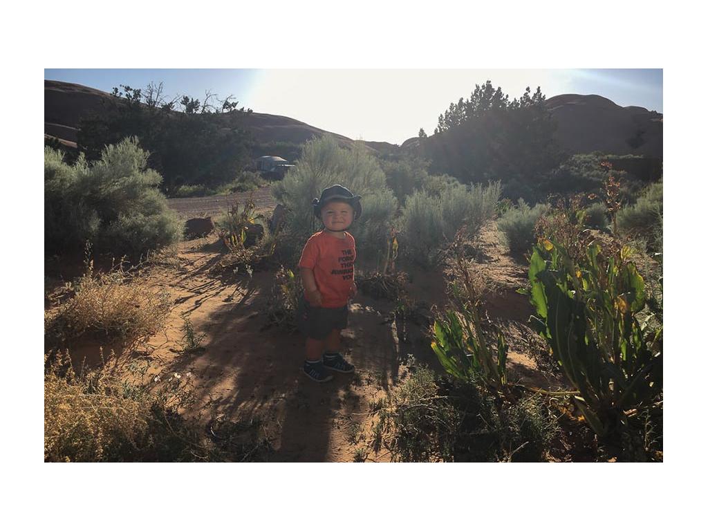Caspian standing in desert surrounded by green bushes