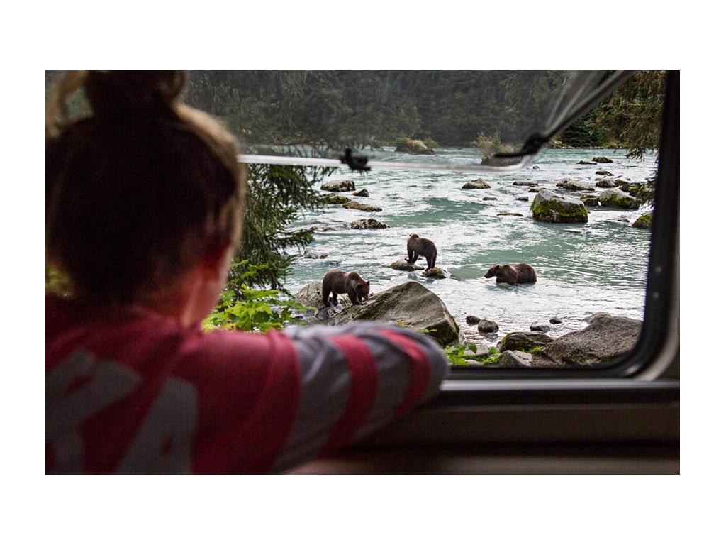 Abby looking out RV window at bears playing in river