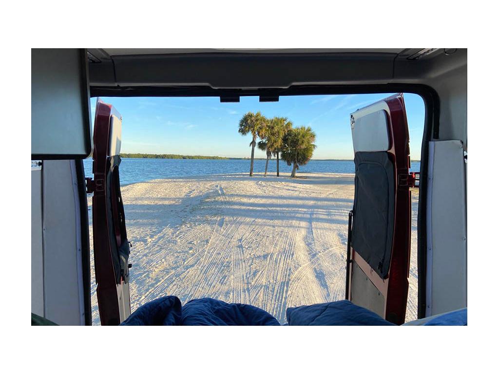 View of palm trees out back doors of Solis