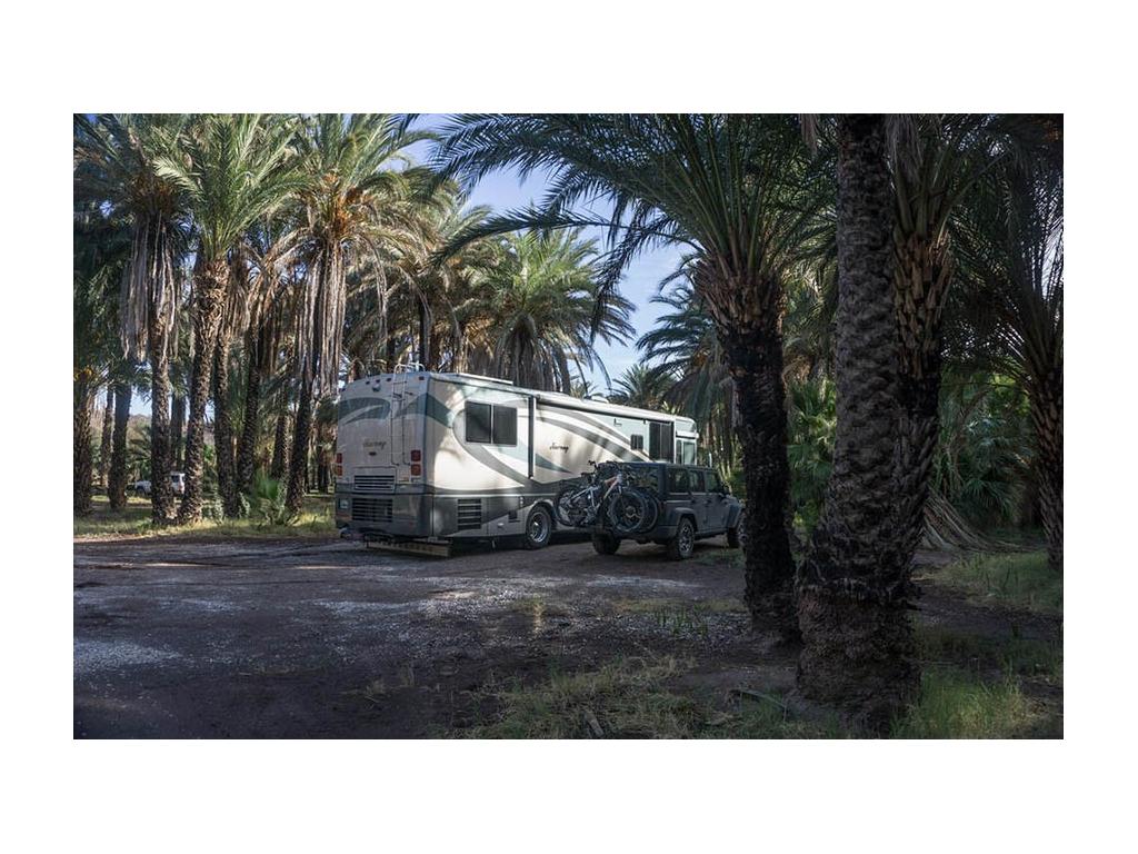 Journey and tow car parked under palm trees