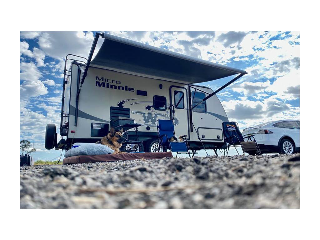 German Shepherd sitting on dog bed outside Micro Minnie with awning extended.