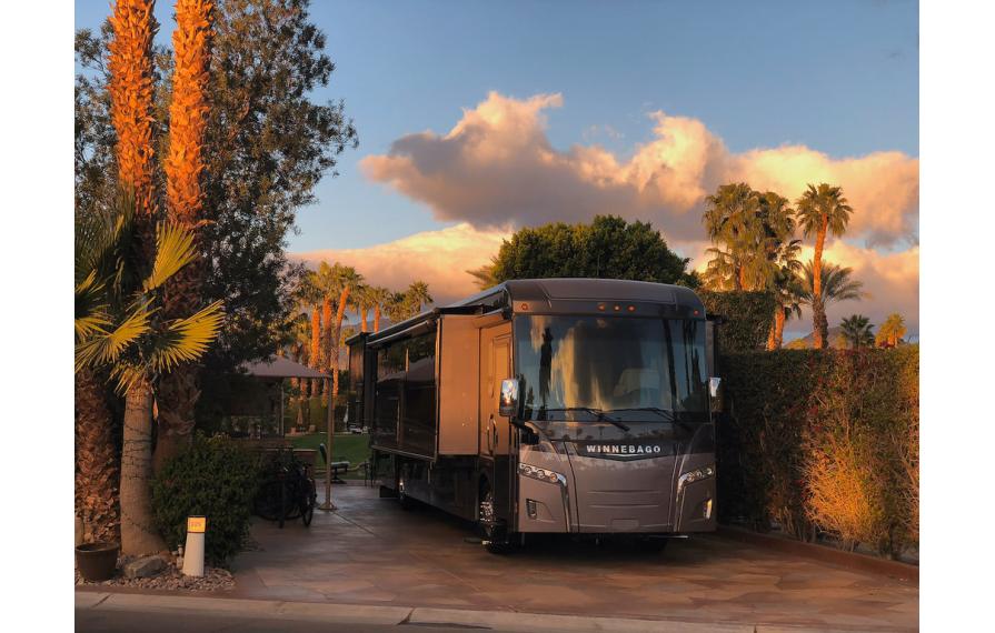 Horizon parked on patio near palm trees and green bushes
