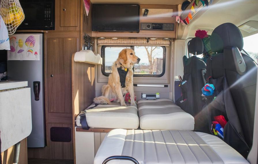 Dog on bench behind the driver seat in Winnebago Travato.