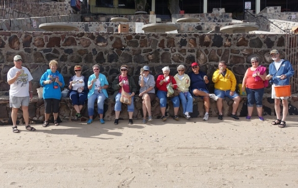 Group of people holding sand dollars.