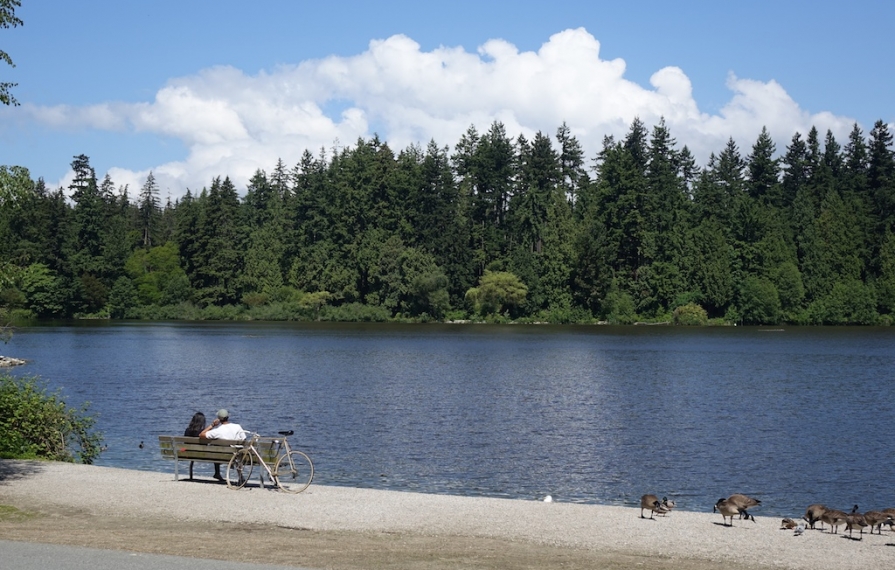 Couple sitting on a bench along the water looking across at the trees.
