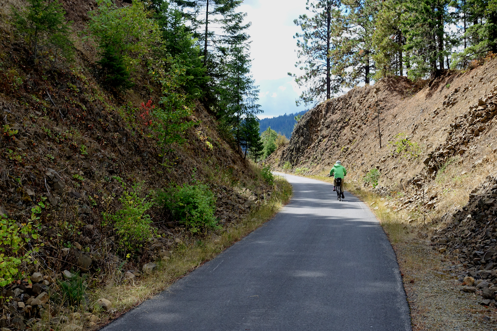 Biker on a path through the trees.
