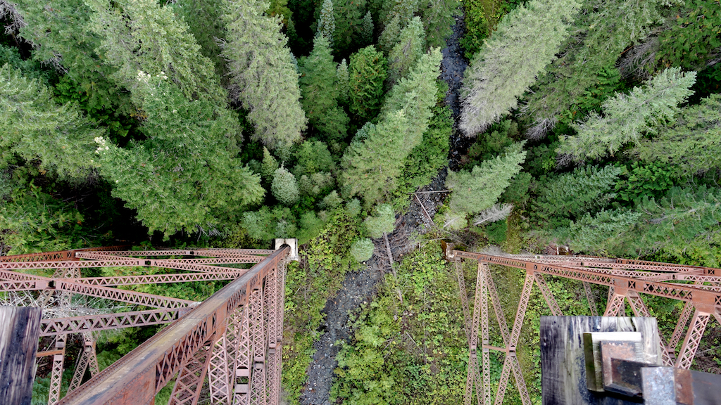 Looking straight down from the bridge to the creek far below.