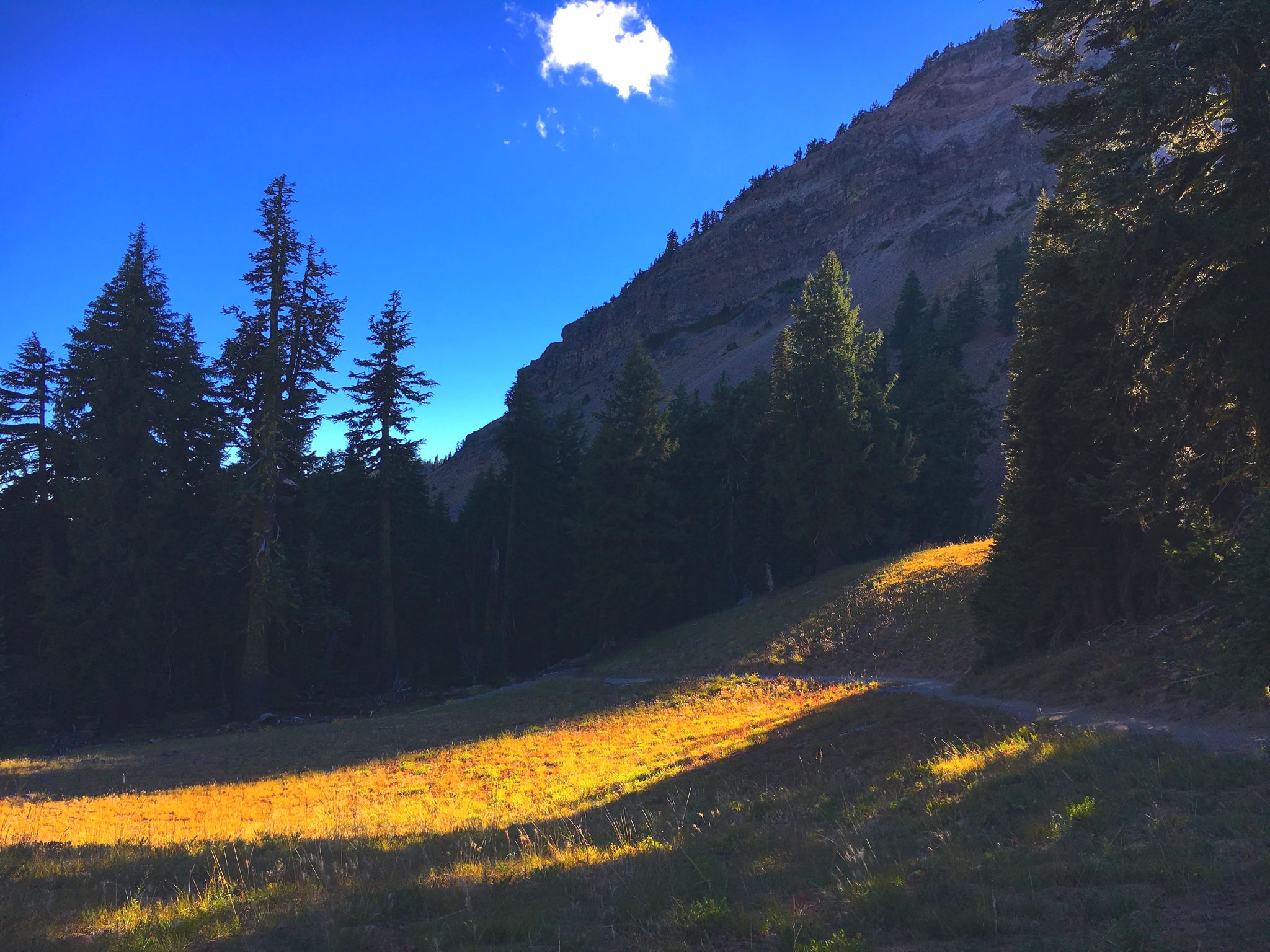 Hiking path through the trees at the base of rocky cliffside.
