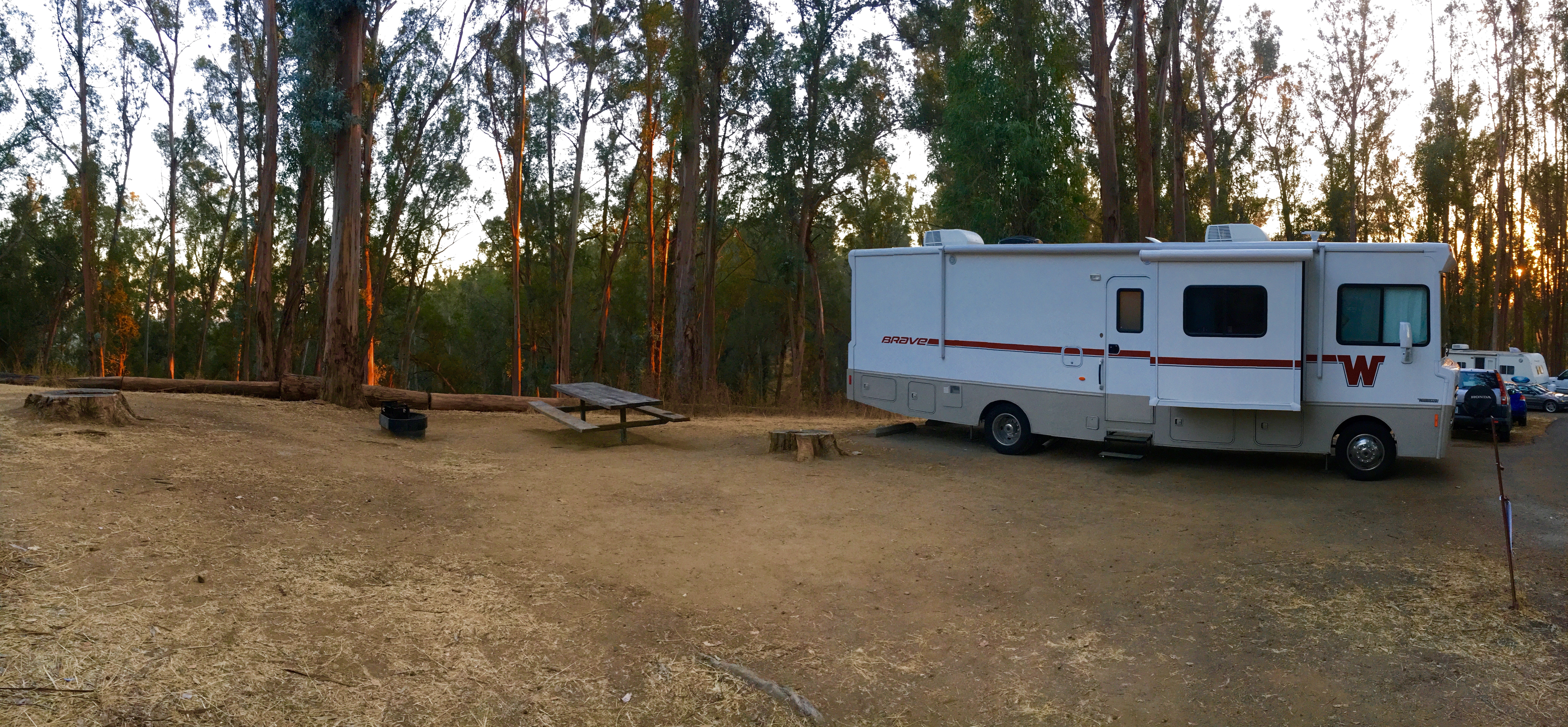 Winnebago Brave at tree surrounded campsite.