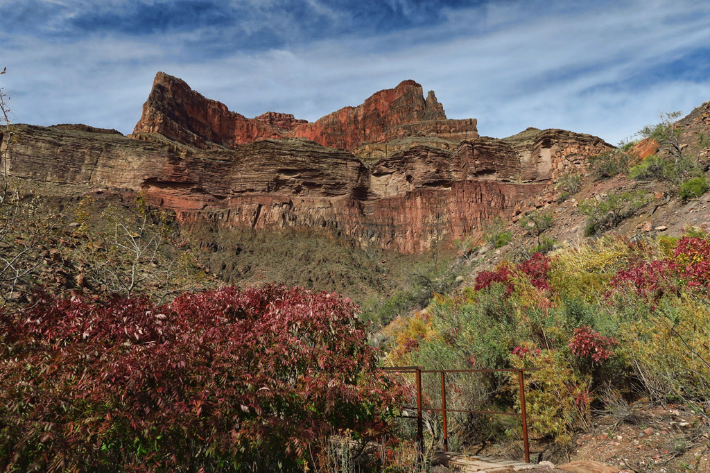 Pathway leading to canyon rising above.