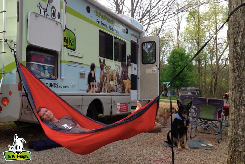 Man in a hammock with two dogs below outside motorhome.
