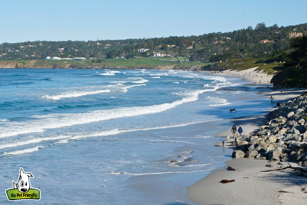 People walking along the beach.