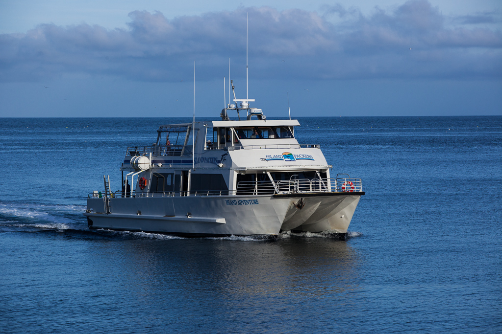 Island Packers ferry boat on the water heading towards the harbor.