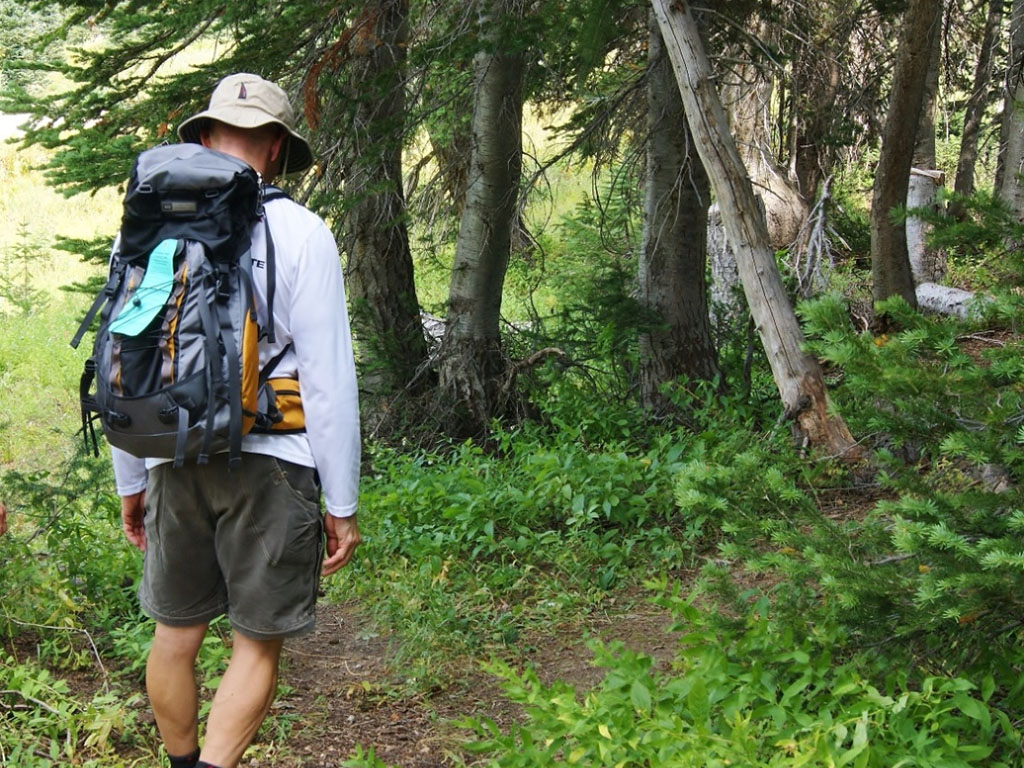 James hiking along grass covered path along trees.
