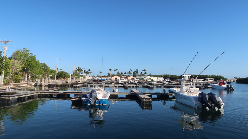 Boats docked on the water.