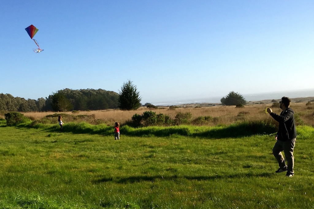 Man and two kids in the grass flying a kite.