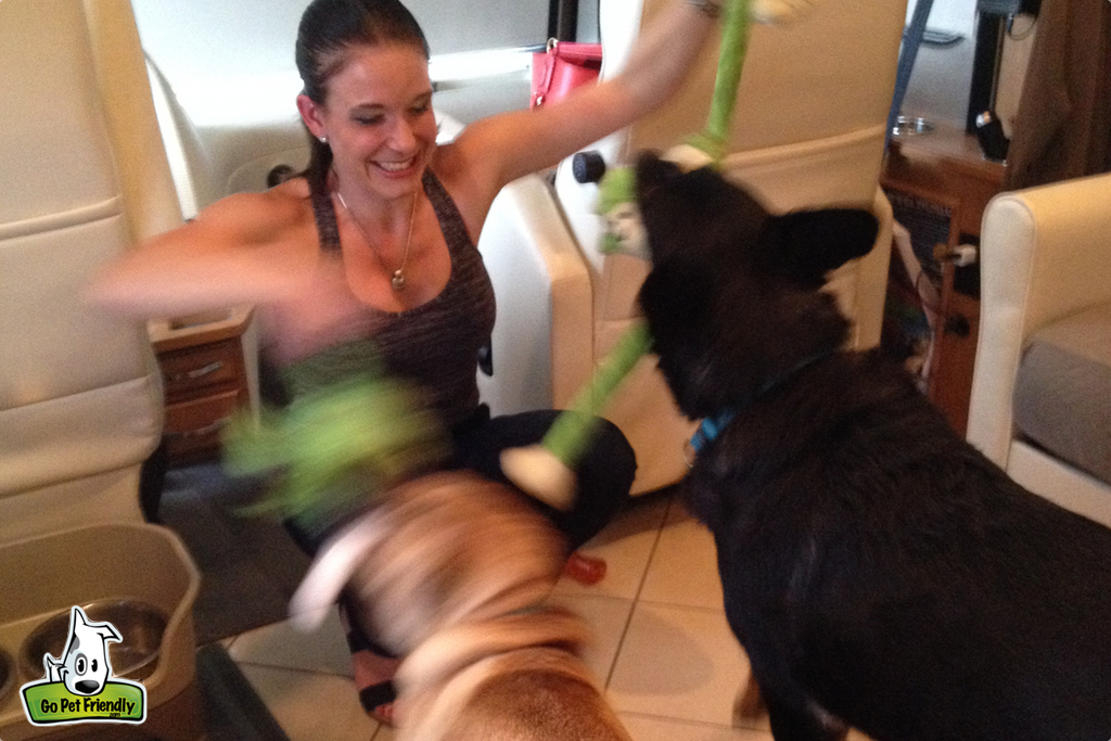 Woman playing with two dogs in the motorhome.