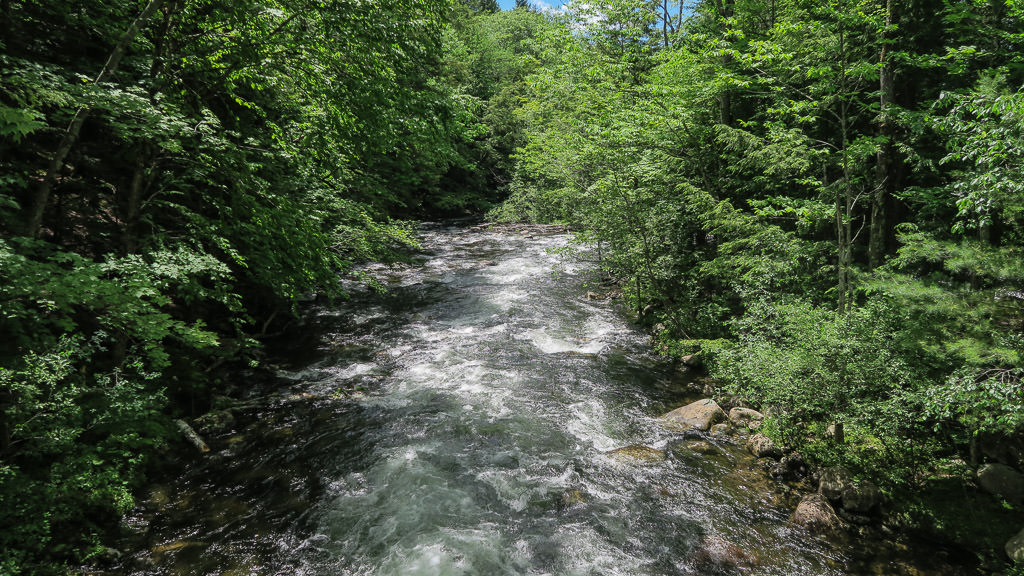 River rushing through trees.