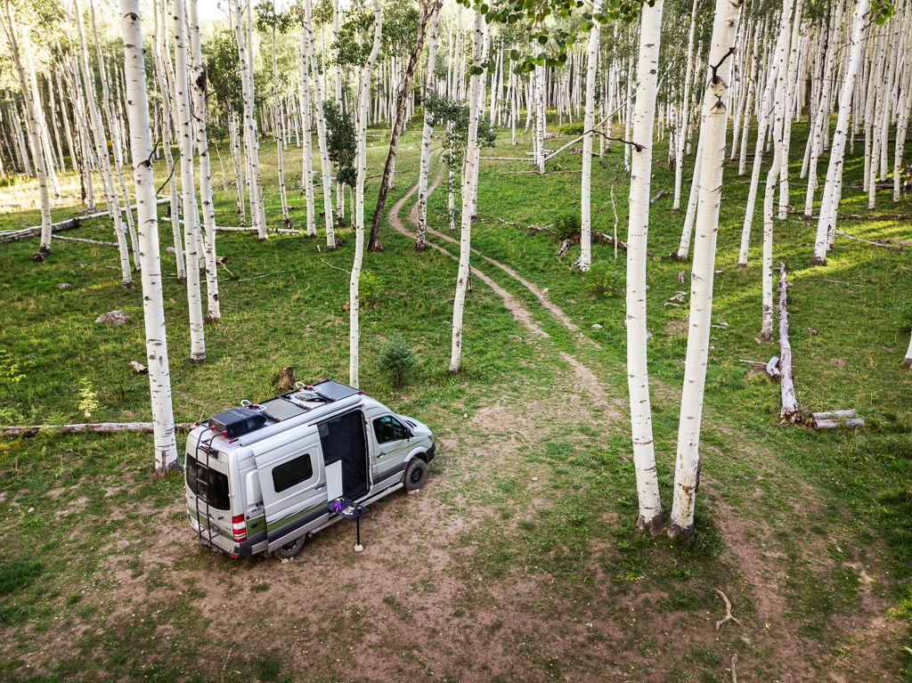 Winnebago Revel parked among trees with the side door open and outside table out.