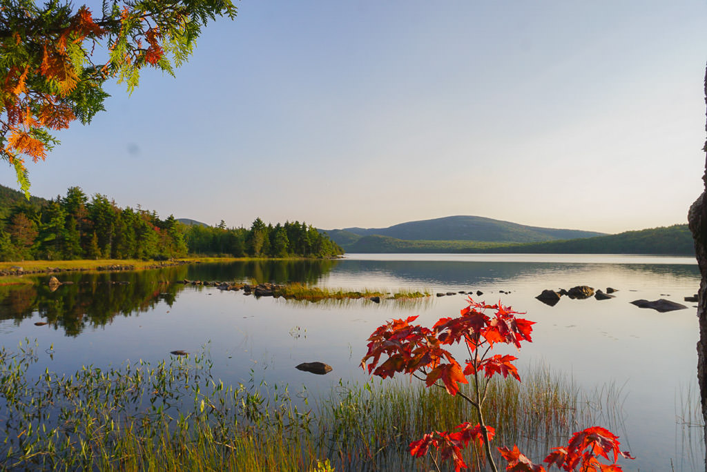 Colorful leaves of fall and body of water in Bar Harbor, Maine.