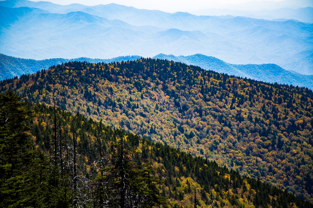 Tree covered mountain sides as far as the eye can see.