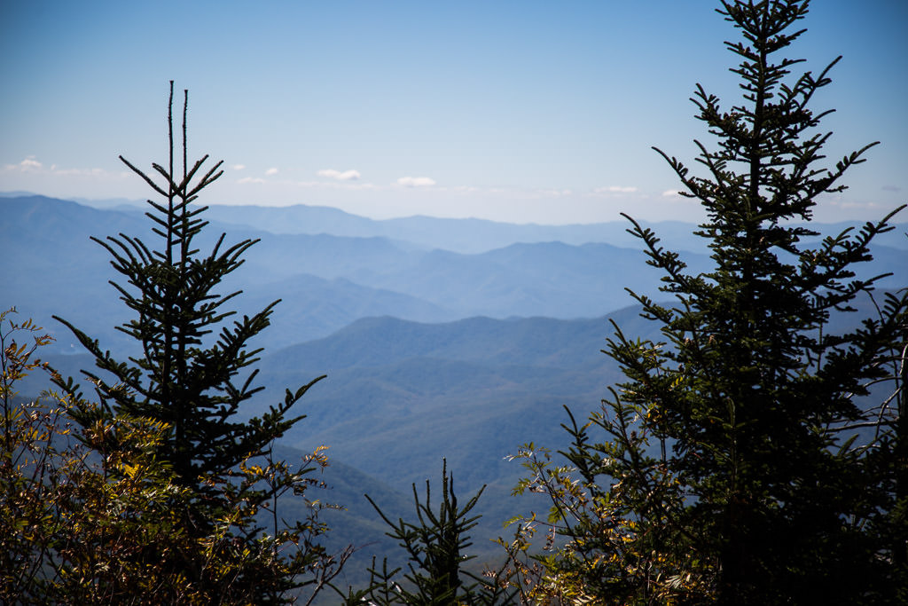 Mountain range past the trees.