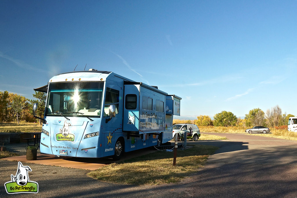 Go Pet Friendly motorhome parked in camping site.