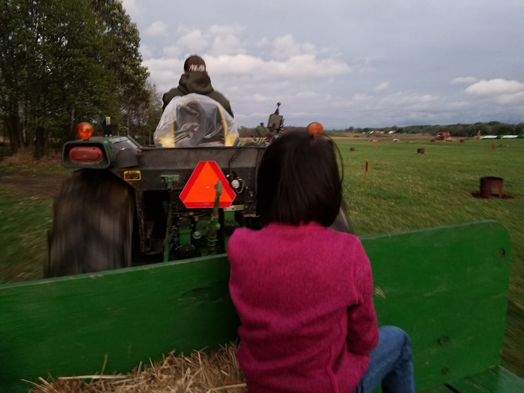 Girl on hayride through tree lined field