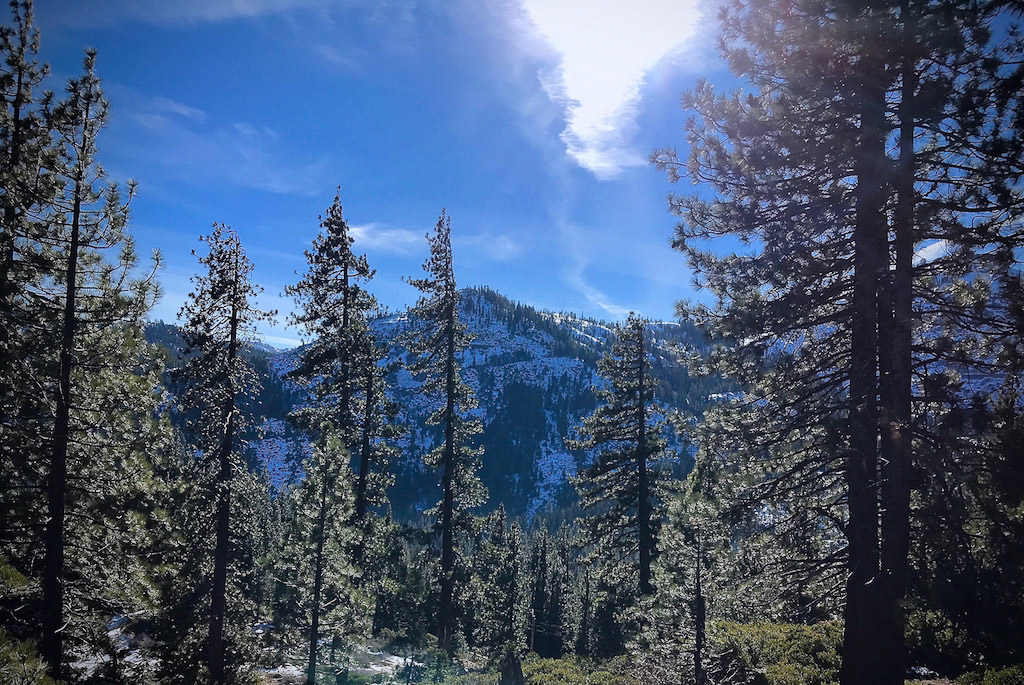 Snow covered mountain and trees.