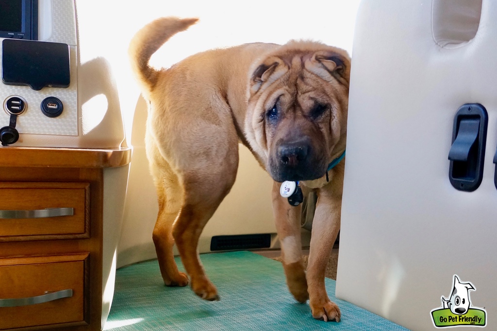 Ty standing in a corner of the RV