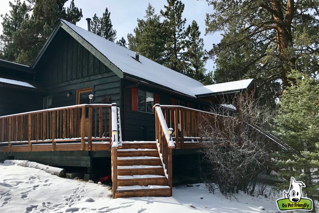 Cabin with snow covering the roof and ground.