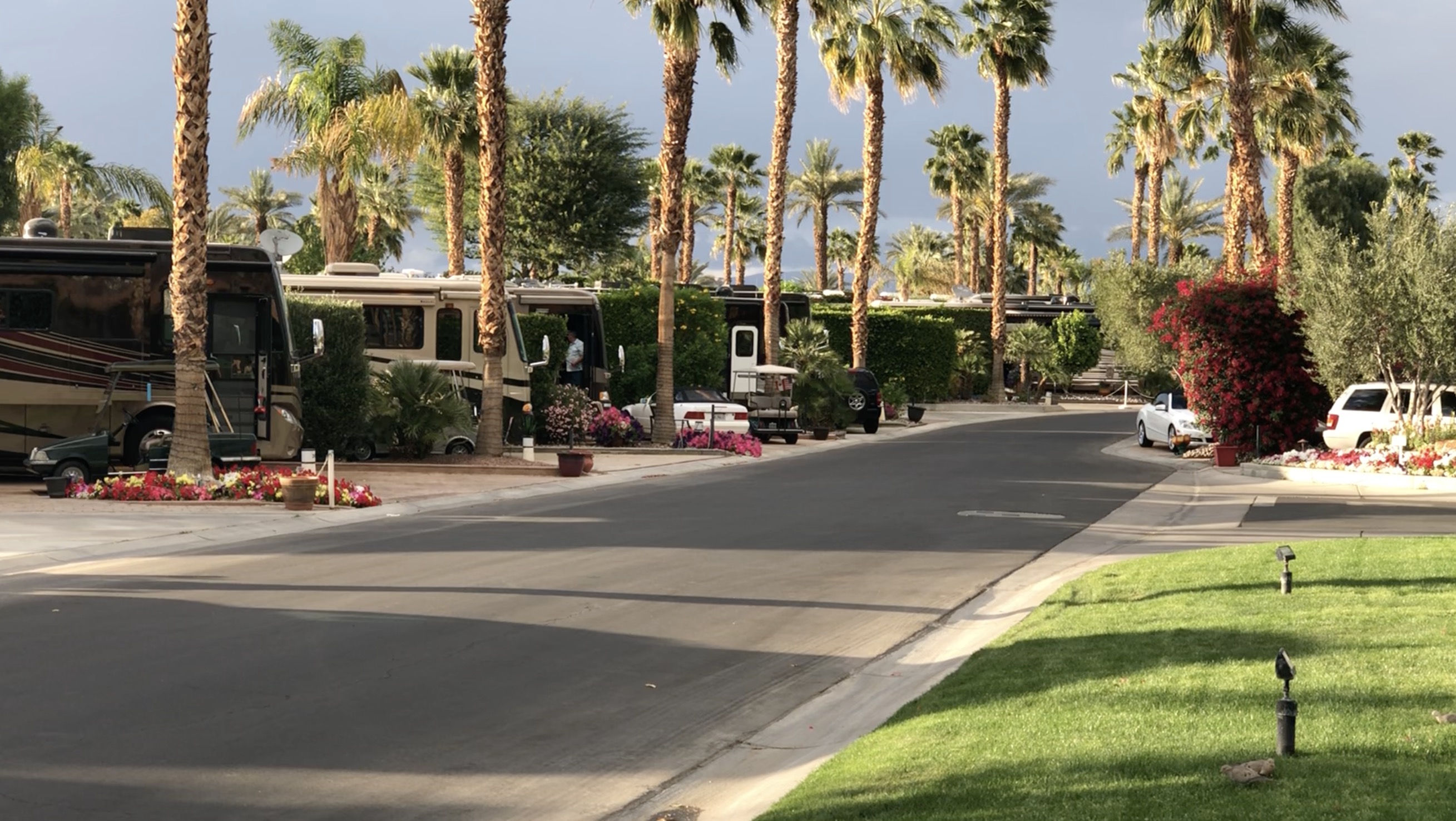 Class A motorhomes lined up in their camp sites at Outdoor Resorts