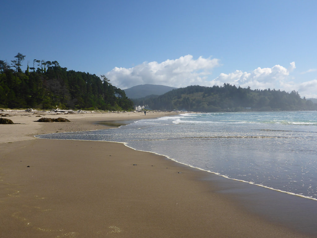 Oregon beach with view of the trees in the background
