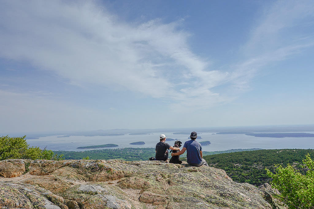Couple and dog overlooking drop off with water below