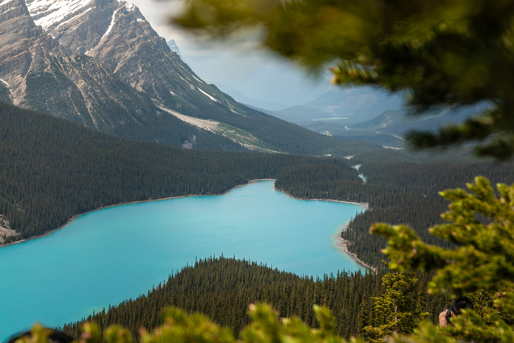 Peyto Lake through the trees
