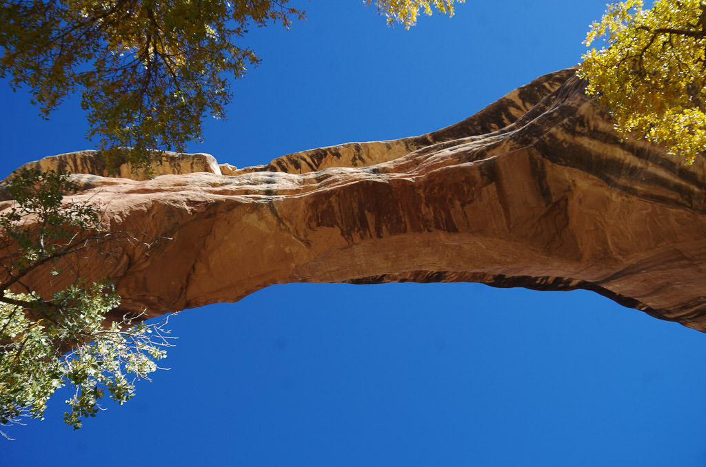 Looking up at Sipapu Natural Bridge