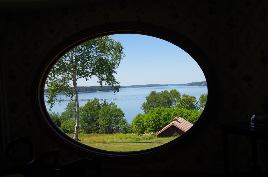 Trees and cabin along the water