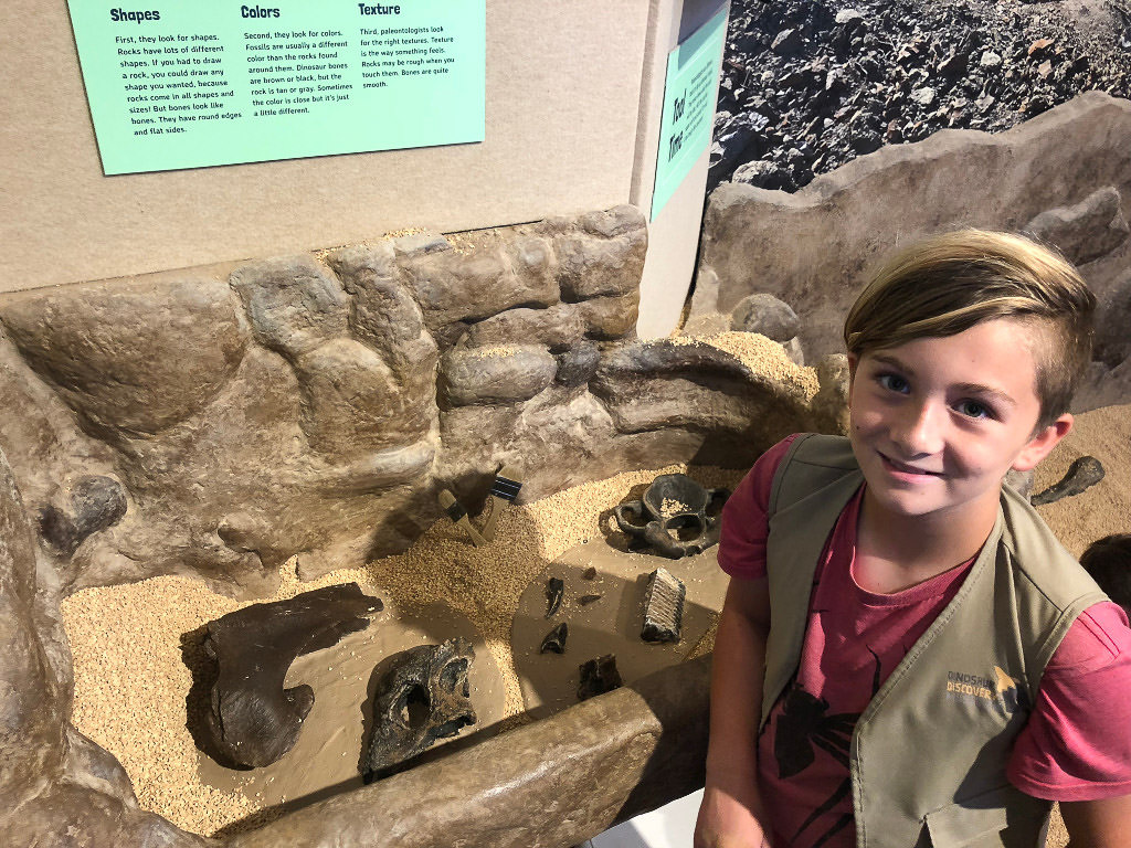 Carson standing next to exhibit at museum