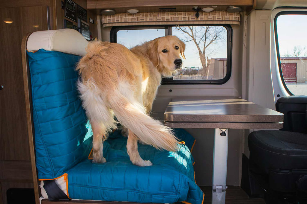 Lucy standing on bench seat at dinette in Travato