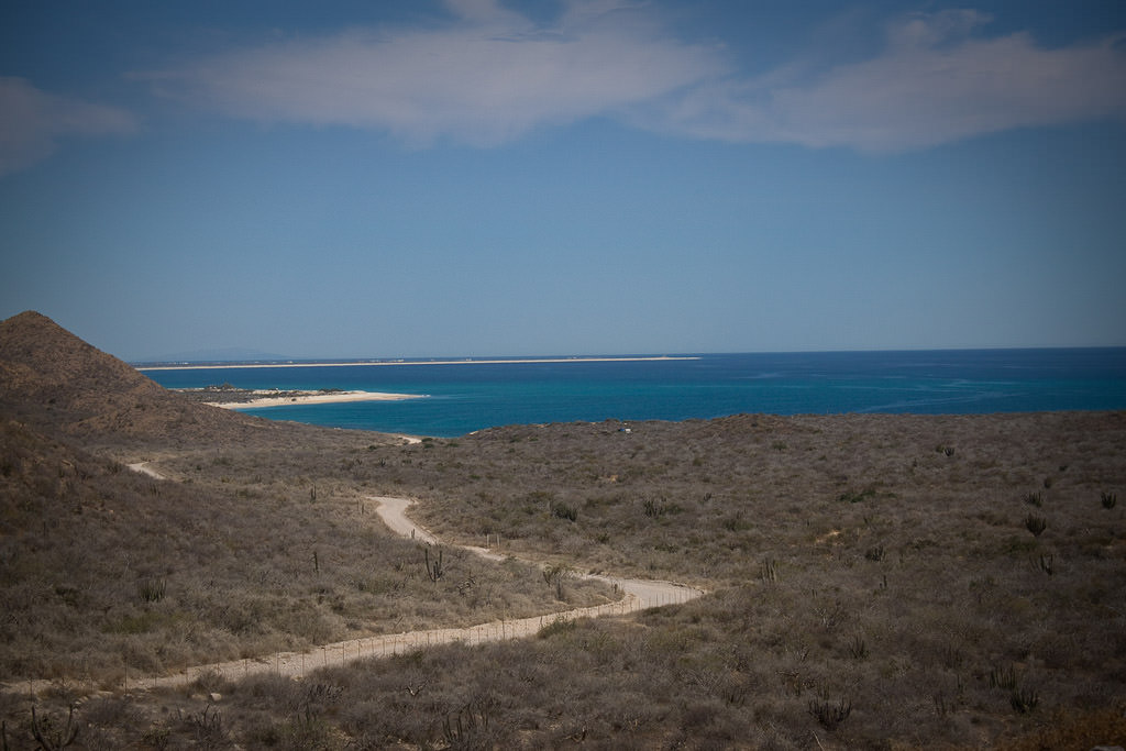 Sandy path through dry brush leading to the ocean.