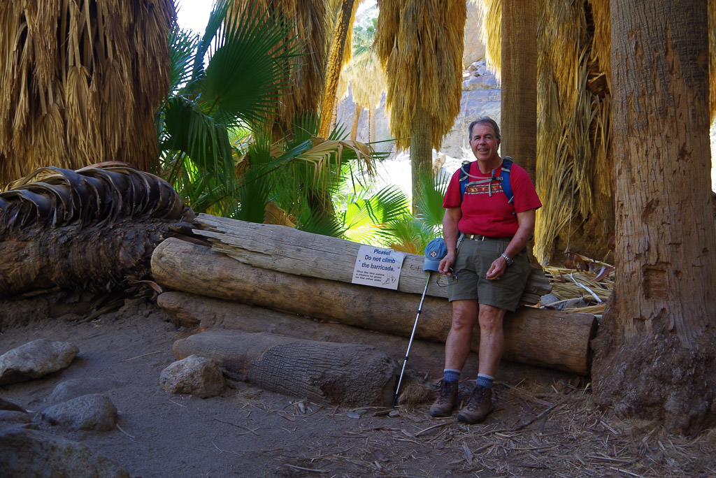 Hiker resting on trail beneath trees.