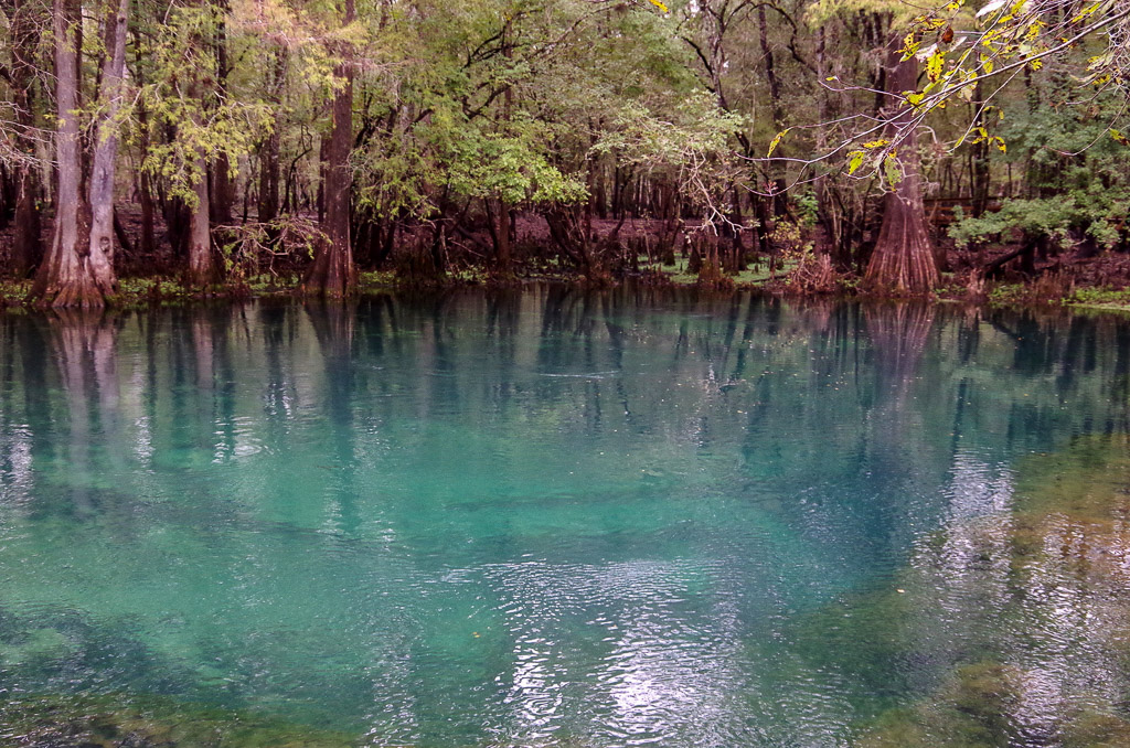 Florida spring with clear blue water and trees along the edges.