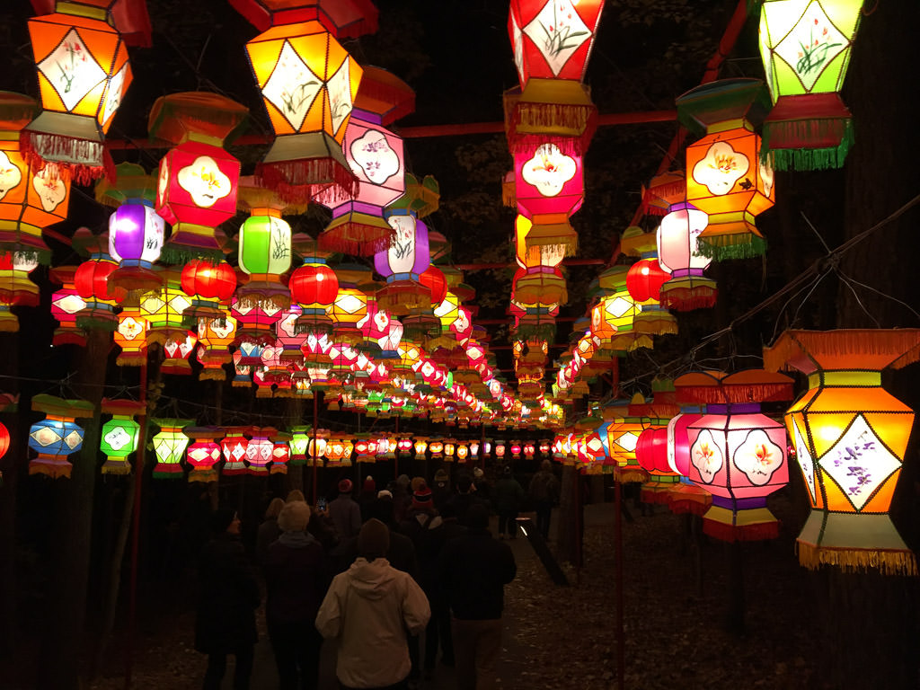 Colorful lanterns lit up at the Chinese Lantern Festival