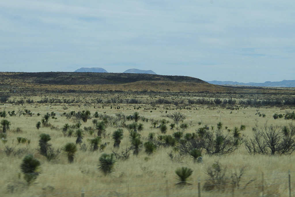 Dry plains of Balmorhea State Park. 