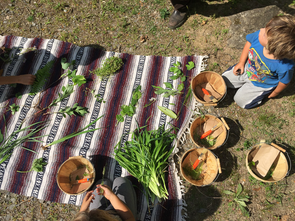Picnic table with different plants laid out as child listens in to the guide.
