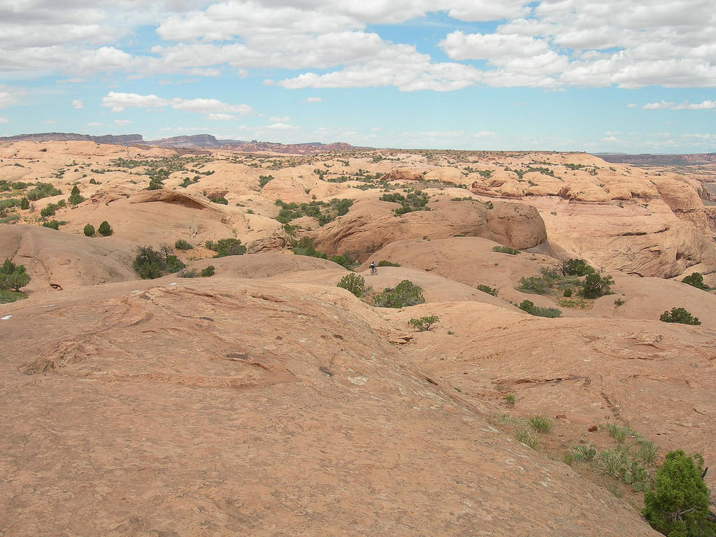 Biker in the middle of the petrified sand dunes.